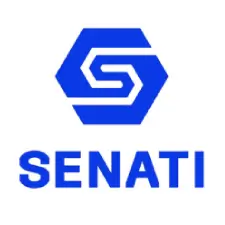 Cliente Senati